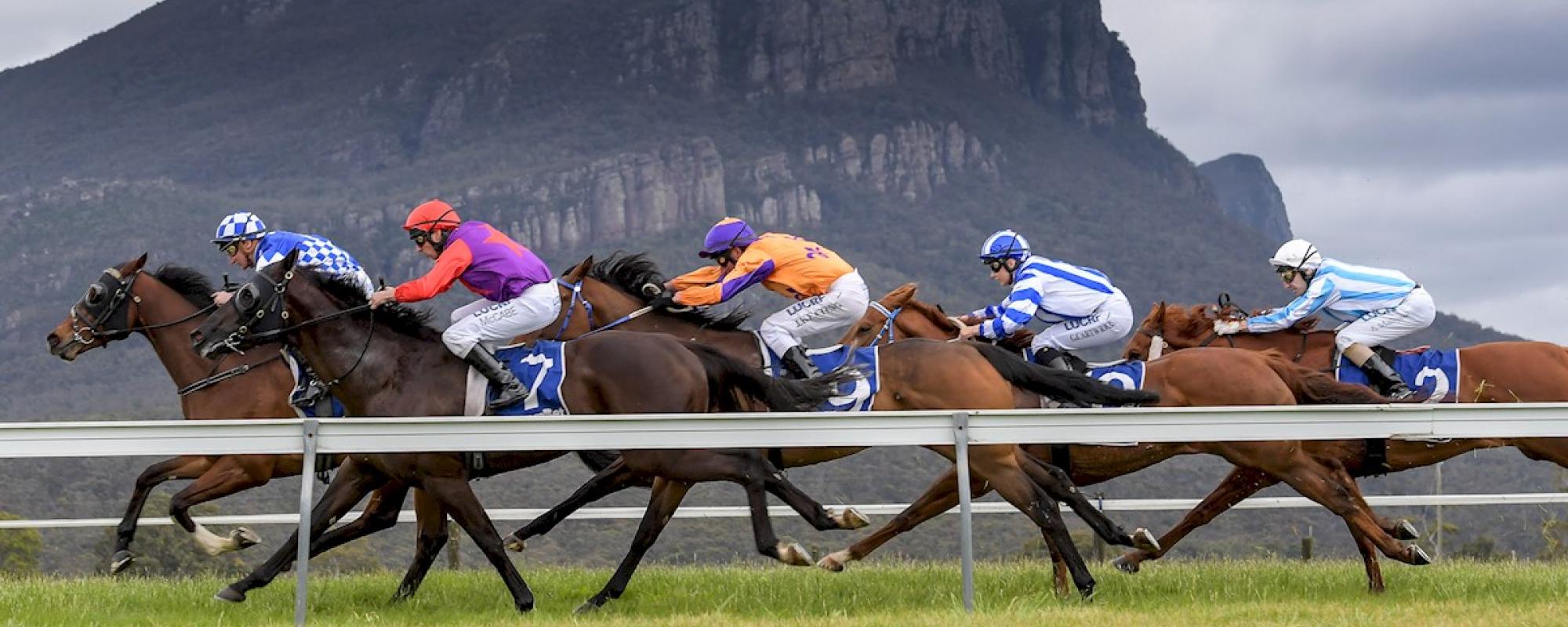 Victorian Racing Calendar December 2024 New Awasome Review of January